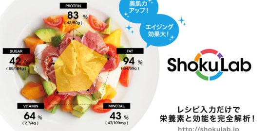 食ラボ代理店募集 代理店募集レプレ