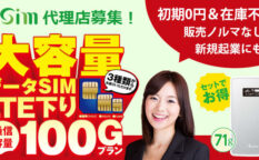 エヌディエステレコムbsim